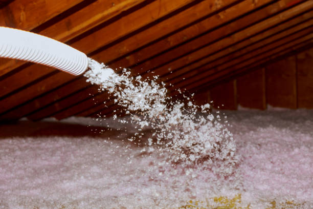 Best Commercial Insulation in Nellieburg, MS