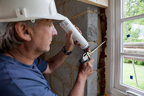 Best Eco-Friendly Insulation in Nellieburg, MS