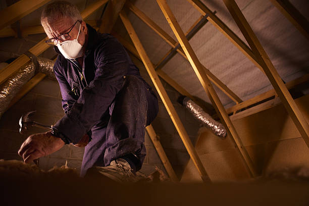 Best Spray Foam Insulation in Nellieburg, MS