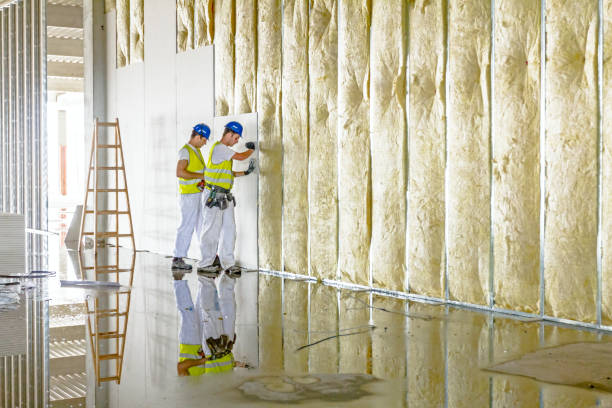 Best DIY Insulation Kits and Guidance in Nellieburg, MS
